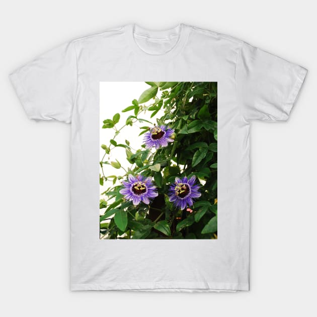 Purple Haze Passifloras T-Shirt by jojobob